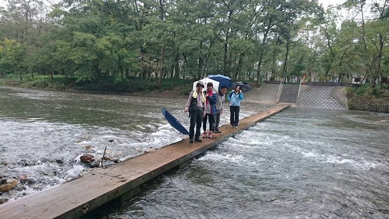 日和田山ハイキング